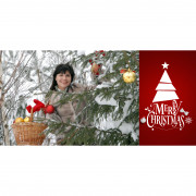 Открытка 10Х21 двусторонняя