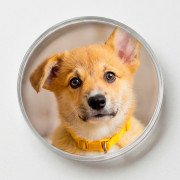 Магнит акрил круглый d65мм